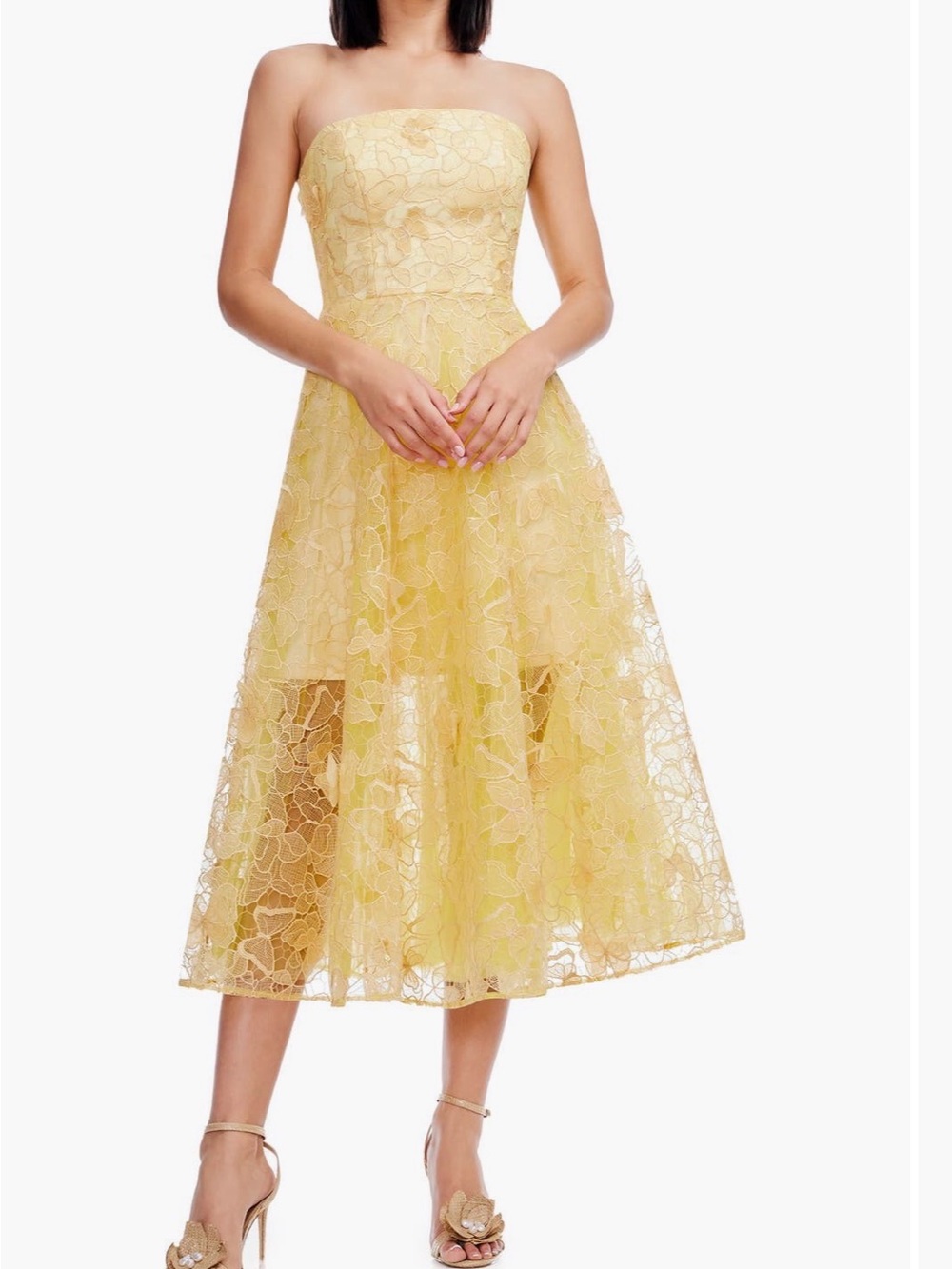 Dress the Population Kailyn Butterfly Floral Lace Midi Dress - Picture 3 of 8